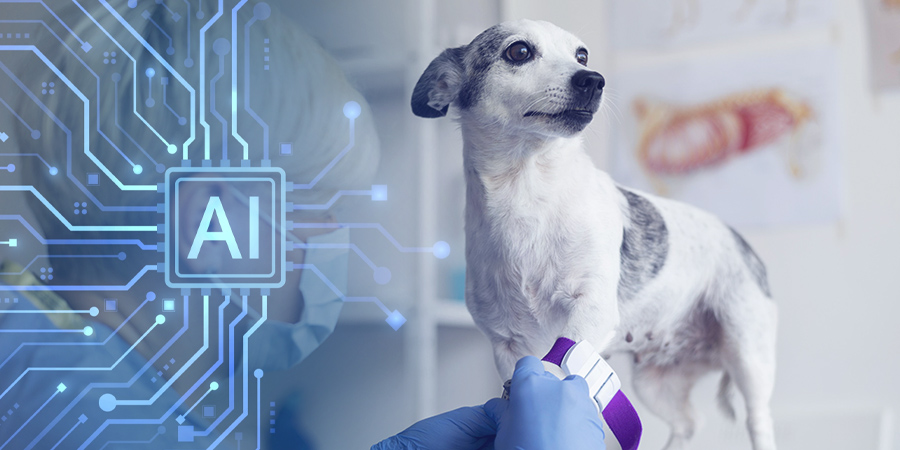 AI Veterinary Asia